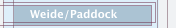 Weide/Paddock